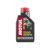 MOTUL 5000 4T 10W-40 1l
