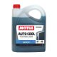 MOTUL Auto Cool Expert -37C 5L