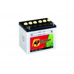 Banner Bike Bull 12N24-3