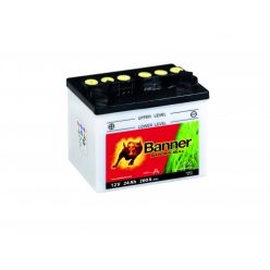 Banner Bike Bull U1-9 